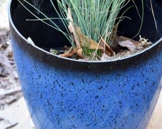 blue plant pot