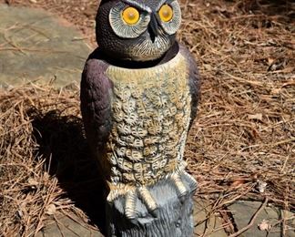 owl decoy