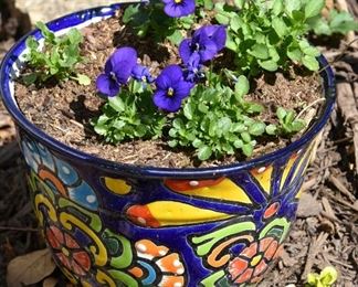 colorful plant pot