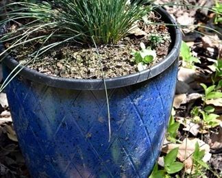 blue planter