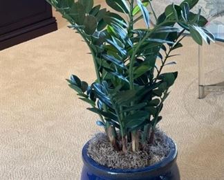 Lg Faux  Plant	POT: 12in H 14in diameter	
