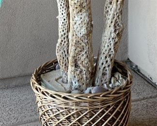 Cholla Skeleton Faux Plant	91 x 74 x 50in approx	HxWxD
