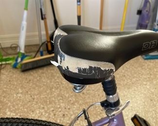 Women’s Diamondback Edgewood Bike bicycle		
