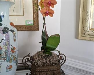 Antique French cachepot #1, with neat orchid...