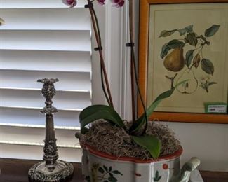 Here's the other of the pair of attractive Asian cachepots, with live orchid plant.