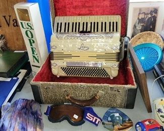 Gorgeous Accordian
