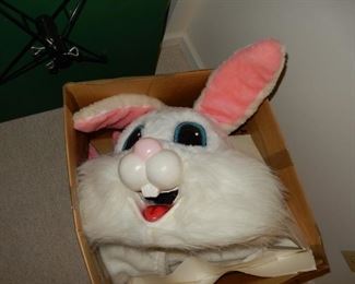 Bunny costume