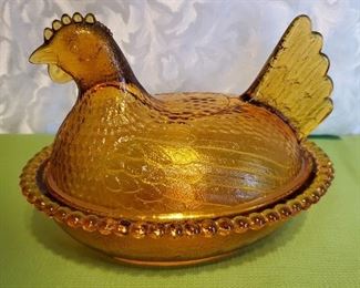 Amber Hen on Nest 