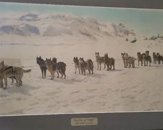 "Baldo of Nome" The Loose Leader