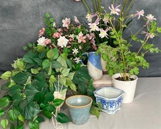 Faux Foliage
Several silk plants, the columbine looks especially realistic, pottery planters and pitcher, hanging philodendron, 7 items