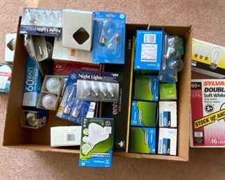 Lightbulbs Galore
Two boxes full of lightbulbs of all sizes