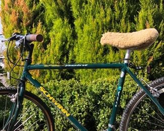 Vintage Green Schwinn Bicycle