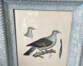 Dove painting