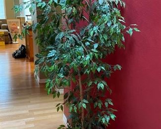 015 Large Artificial Ficus Plant
