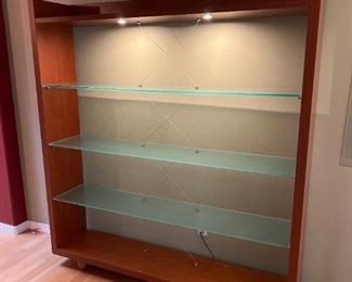 018 Lighted Display Cabinet