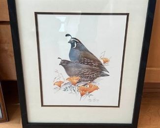 037 Artist Signed Print Common Quail