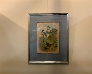 Print 15 x 19 Inches 