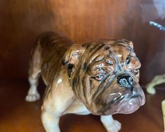 porcelein bull dog