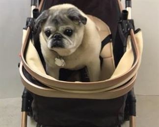Belecoo Stroller 3in1  *Pug not included