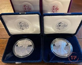 SILVER American Eagles (Purple and Blue Box)
