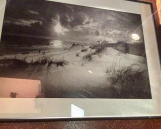 Beach dunes
