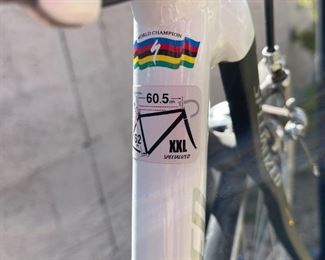 Specialized Allez Comp E5 Aerotec Road Bike Bicycle	Seat Tube: Crank Center to Seat Clamp: 23.25in
