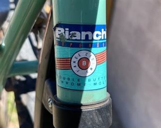 Bianchi Grizzly Mountain Bike	Seat Tube: Crank Center to Seat Clamp: 20.5in
