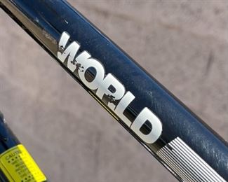 Schwinn World Bike	Seat Tube: Crank Center to Seat Clamp: 22.25
