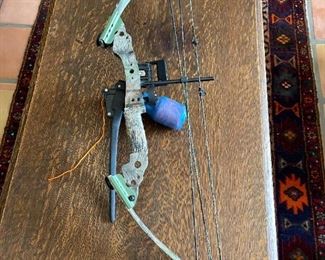 Bear Odyssey II compound fishing bow