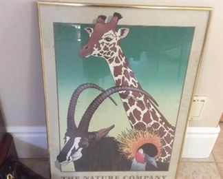 The nature company poster