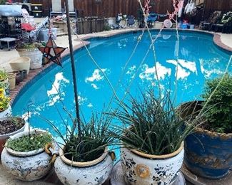 Pots with newly planted flowers and more!