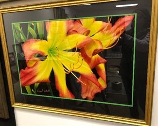 Signed David Futrell Framed Photograph