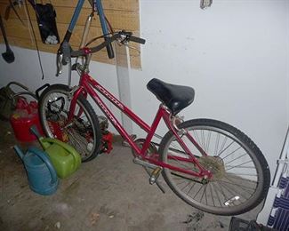 Schwinn Bike