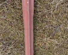 1056	ANTIQUE VICTORIAN HORSE HITCHING POST
