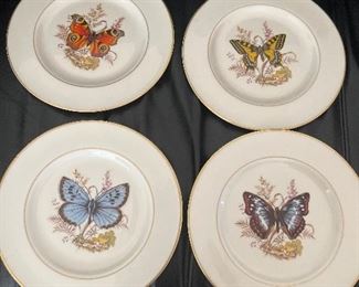 Set of Four Pickard Butterfly Plates