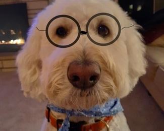 Bernie…. A brilliant model. 