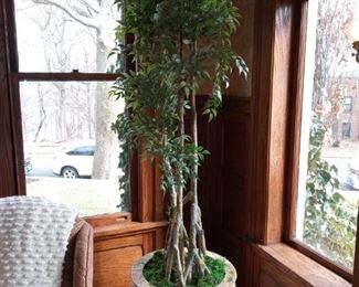 Tree in adorned Asian pot with plant stand
