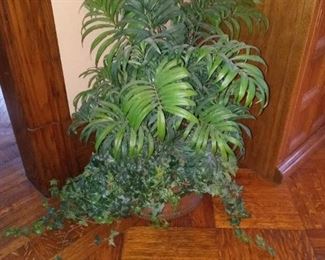 Plants in copper planters