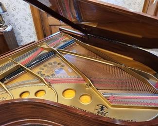 Steinway & Sons Baby Grand Piano ~ circa 1901, restored in 2006 (alternate view)