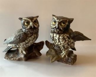 Owls 