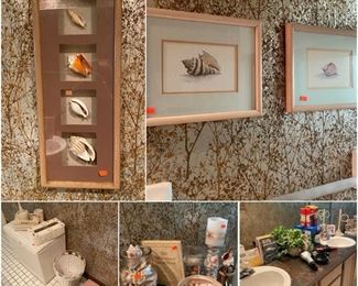 SHELLS, SHELLS, & MORE SHELLS!!!