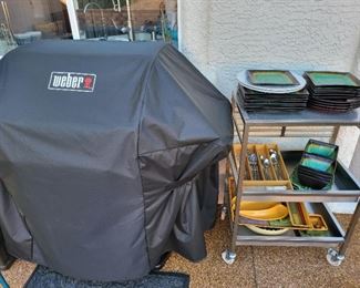 weber grill with cover