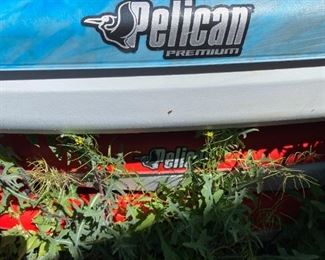 Pelican kayak