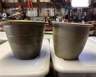 North Carolina Cream Risers