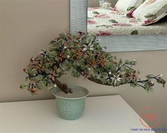 Chinese Jade Tree