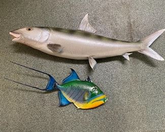 Taxidermy Fish