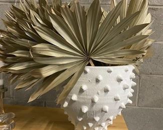 Dried Fan Palms