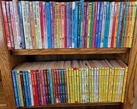 Franklin W. Dixon Hardy Boys Selection