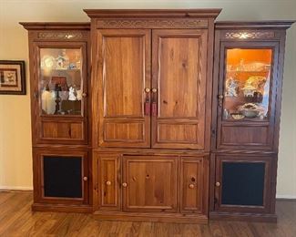 Entertainment center with lighted display and tons of storage