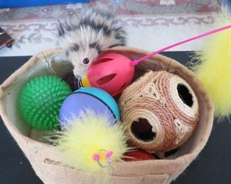 CAT TOYS.